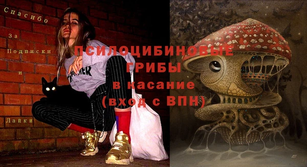 марки nbome Аркадак
