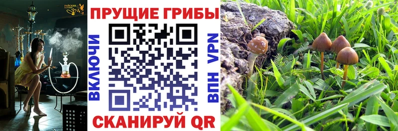 Галлюциногенные грибы ЛСД Куйбышев