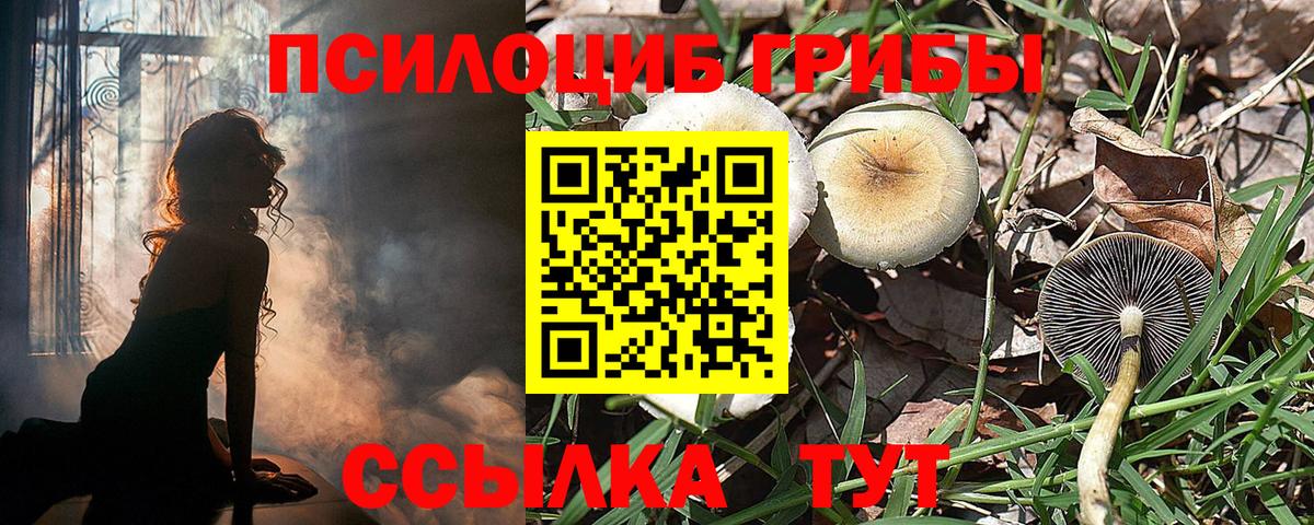 Галлюциногенные грибы Psilocybe  Вход с VPN  Галлюциногенные грибы GOLDEN TEACHER  Куйбышев 