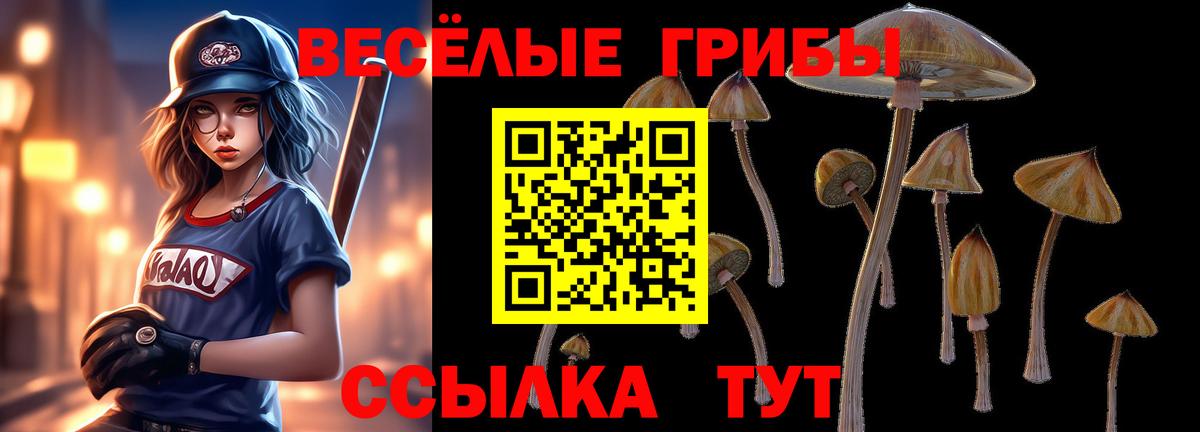 Галлюциногенные грибы Cubensis Куйбышев
